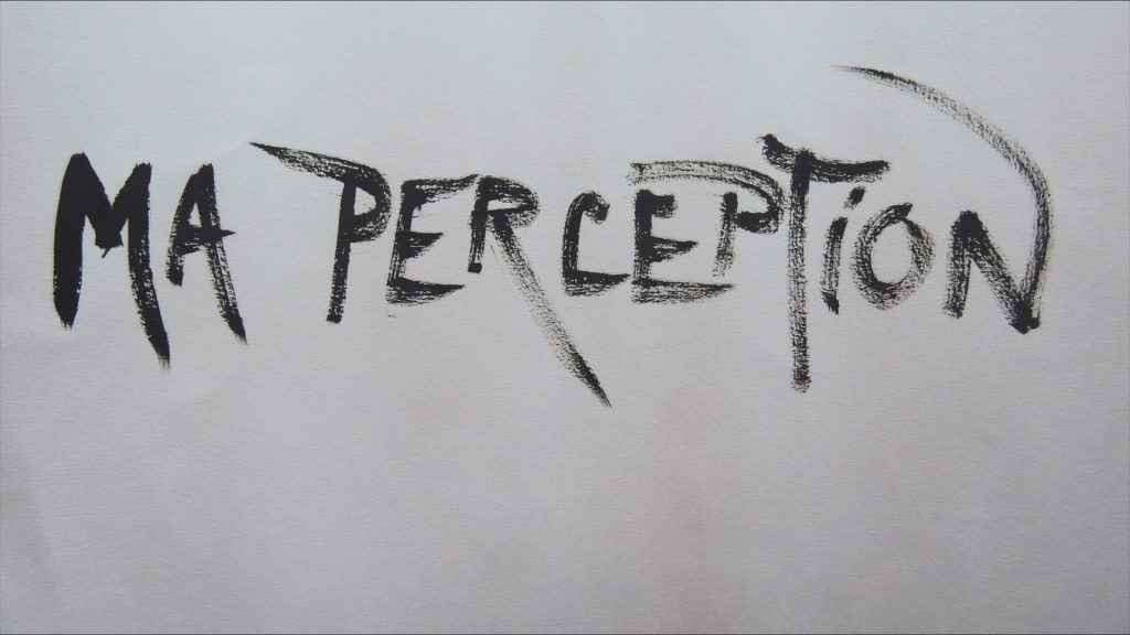 Vers des expériences cinématographiques inclusives au cœur des perceptions des spectateur·ices en situation de déficience visuelle. Partie 3