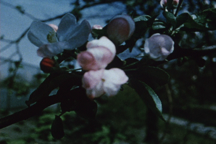 Walden de Jonas Mekas (1967)