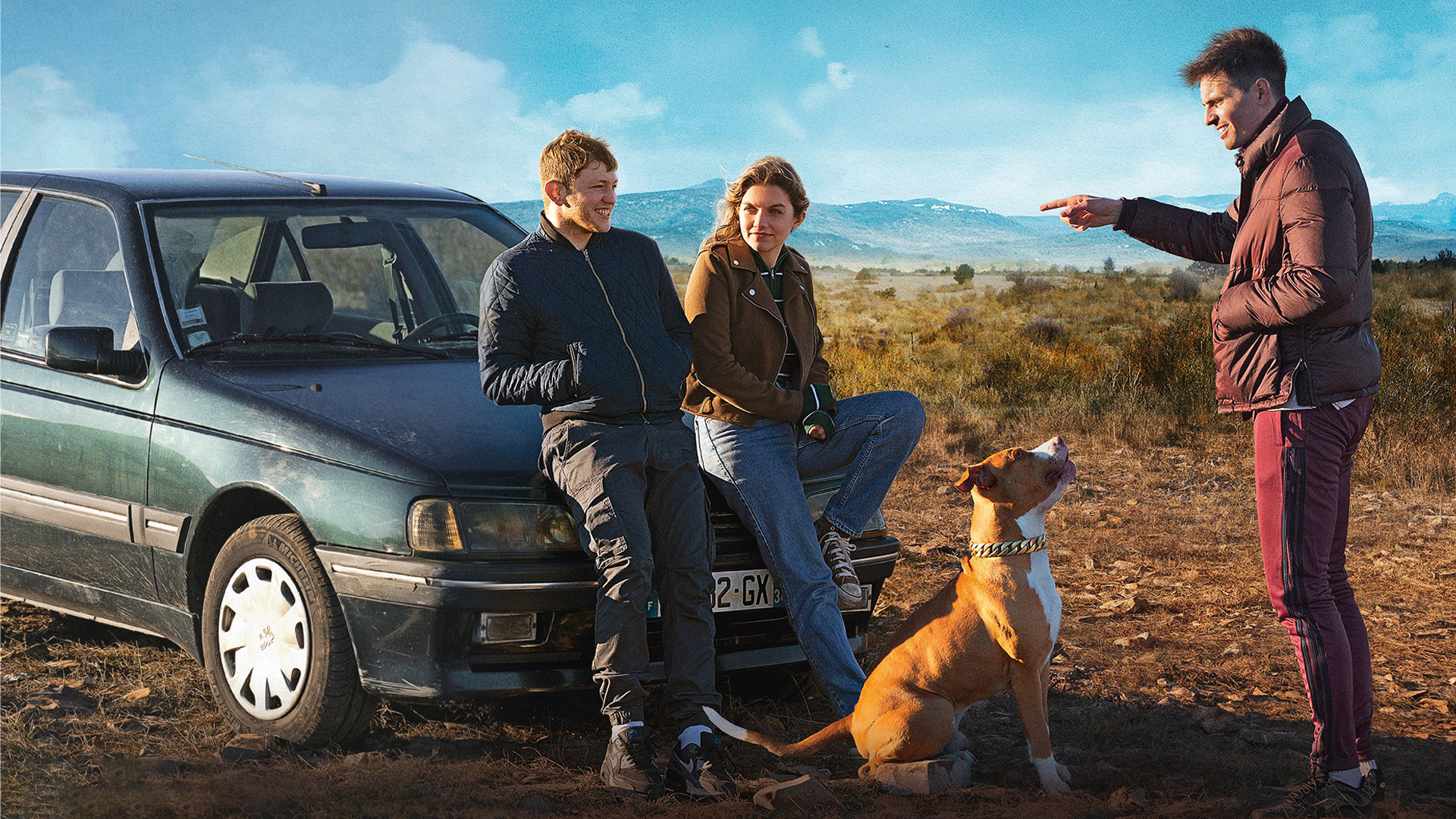 image 2 - chien de la casse